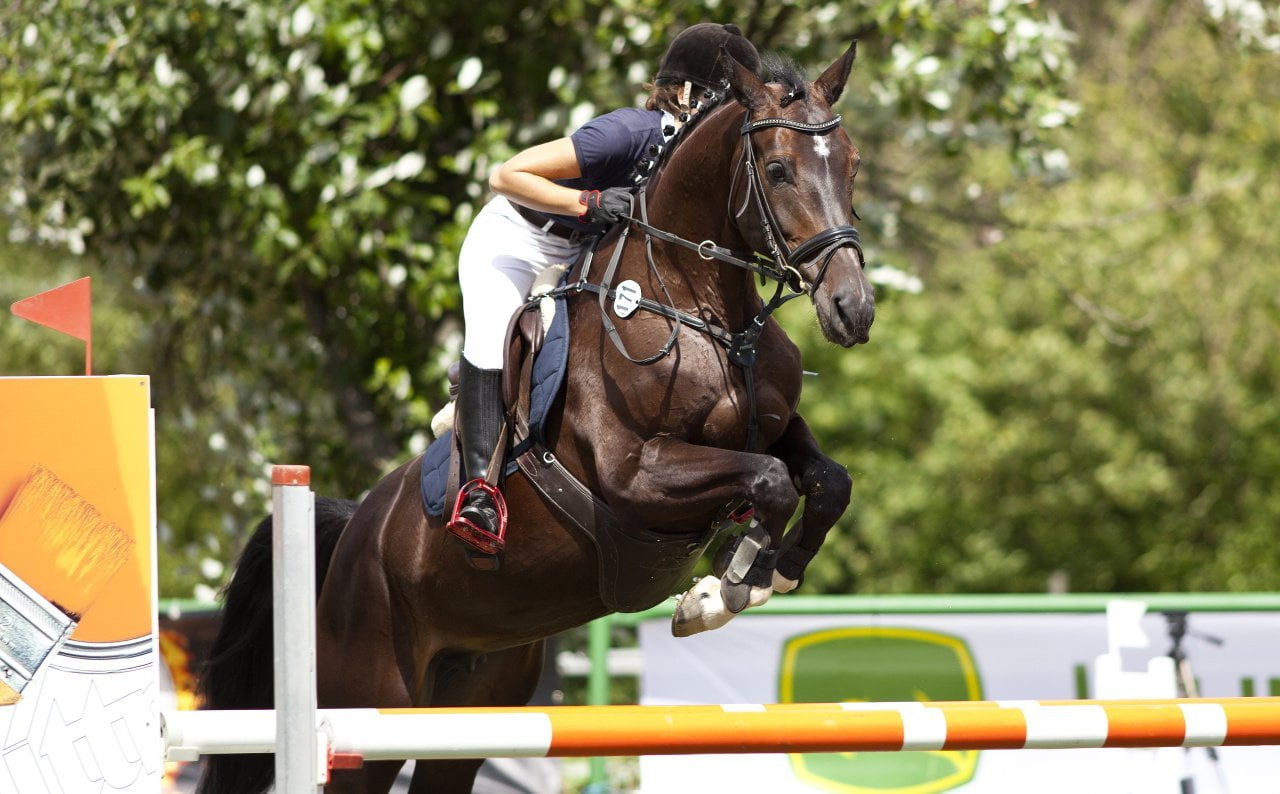 equitation-saut-obstacle-cheval