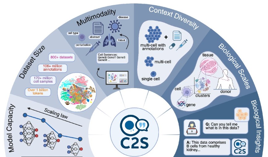 Graphique de l'étude sur C2S
