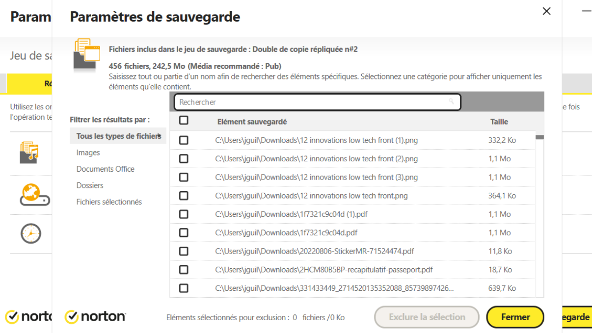 Paramètres de sauvegarde sur le cloud Norton