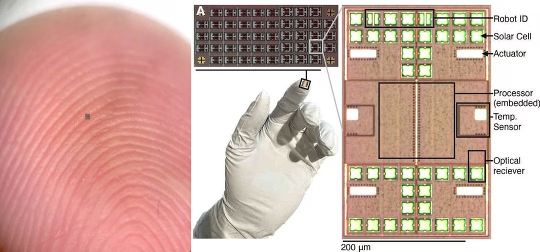 Un microbot sur un doigt, une feuille de microbots et leurs composants