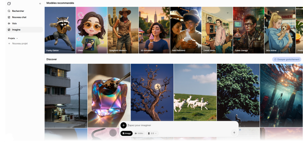 L'interface de Grok Imagine